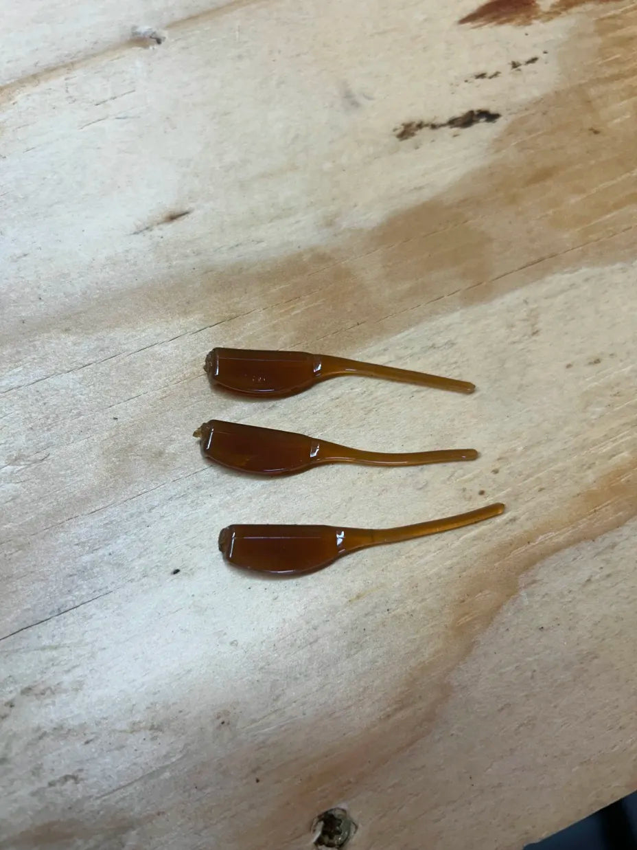 Pintail Minnow